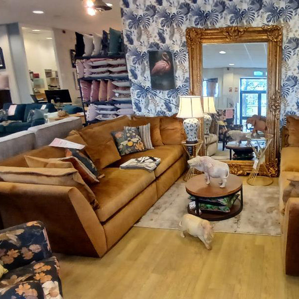 Take a Peek inside the Store